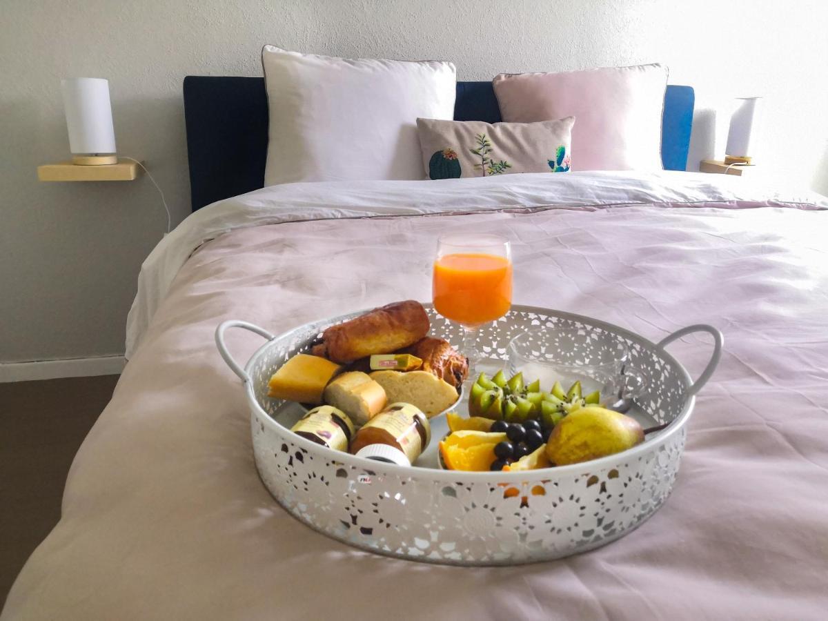 Apartment Toulouse Airport Apartment: Netflix & Terrace Blagnac
