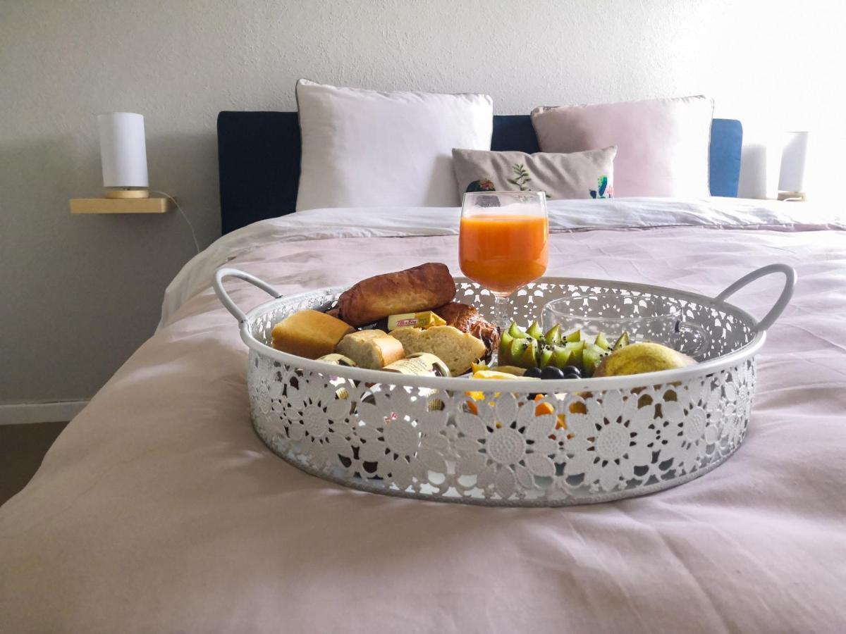 Toulouse Airport Apartment: Netflix & Terrace Apartment *