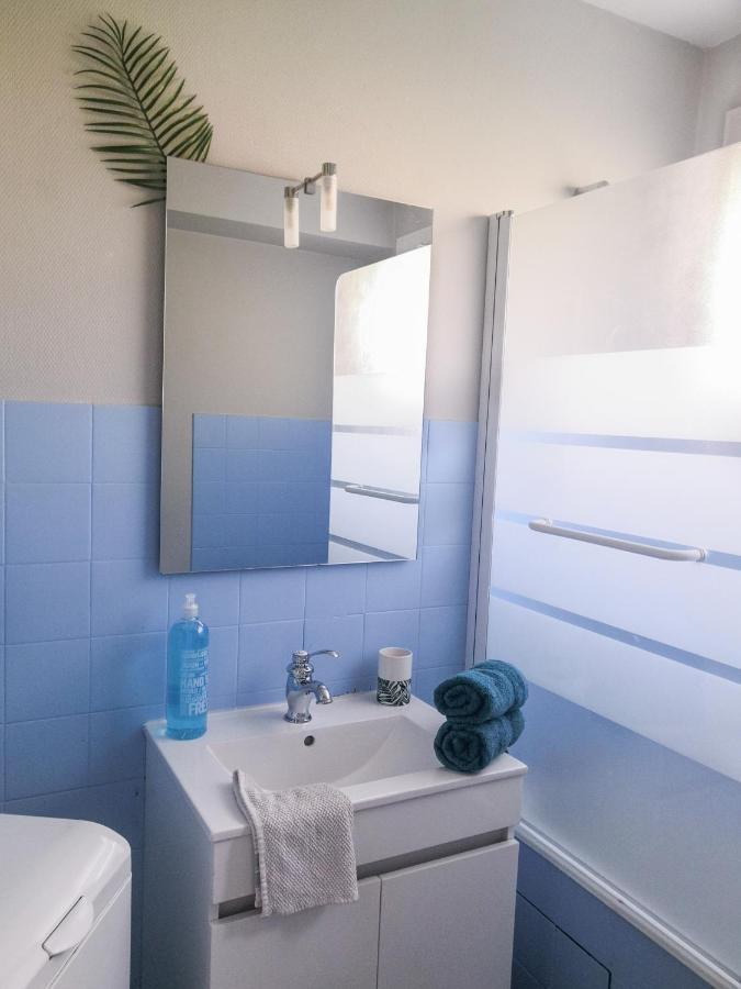 Toulouse Airport Apartment: Netflix & Terrace